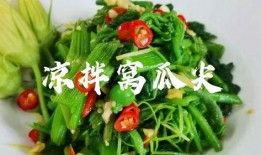 吃方瓜尖的好处,揭秘食用益处与养生之道