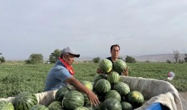 吃瓜的孤城,揭秘网络舆论场的幕后真相