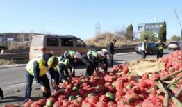 吃大瓜全京城排队吃瓜,全民排队，共赴“吃大瓜”狂欢盛宴