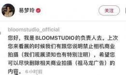 吃瓜易梦玲,易梦玲事件背后的真相揭秘