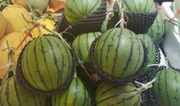 冰爷吃瓜,揭秘娱乐圈幕后真相