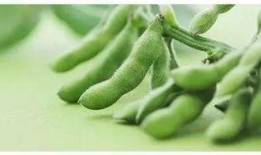 吃瓜小助理余景天,揭秘娱乐圈幕后趣闻