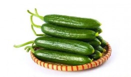 吃瓜先去皮,揭秘娱乐圈背后的真相