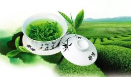 绿茶穿书吃瓜,她吃瓜吃到人生巅峰