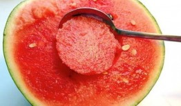 超大号吃瓜勺,超大号吃瓜勺的奇幻之旅