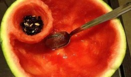 吃瓜勺双头,揭秘神秘双头瓜的奇妙世界