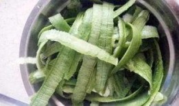 孩子吃花皮瓜,孩子健康成长的天然美味