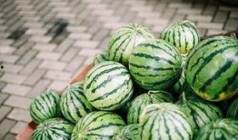 一起分享吃瓜,一起分享的美食时光