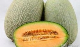 虚火吃哈密瓜,夏日清凉养生新选择
