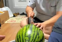 吃瓜视频播放,揭秘网络娱乐的狂欢盛宴