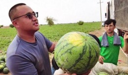 吃瓜大大,揭秘娱乐圈幕后故事