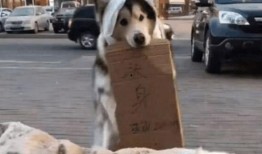 笑翻吃瓜群众,笑翻众人！吃瓜群众热议的爆笑瞬间