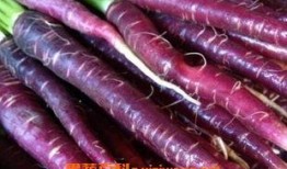 紫色氛围吃瓜,揭秘娱乐圈的甜蜜与苦涩