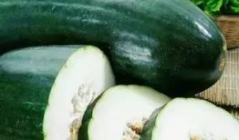 吃夏瓜减肥吗,吃夏瓜助你轻松减肥