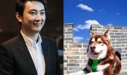 吃瓜评论区自信男,自信男生在评论区独领风骚