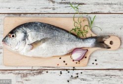 小海棠鱼吃瓜视频,趣味横生的水下喜剧