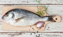 小海棠鱼吃瓜视频,趣味横生的水下喜剧