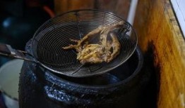 沉氏吃瓜,揭秘娱乐圈背后的秘密风云