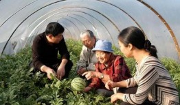 新疆吃瓜博主,揭秘吃瓜博主的美食之旅