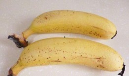 香蕉瓜怎么吃最好吃,解锁最佳口感之道