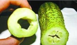 空瓜可以吃吗,探索瓜果的另类食用方法