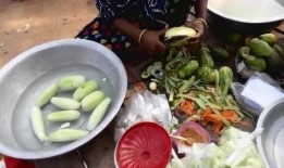 国家队吃瓜,揭秘赛场背后的趣味瞬间