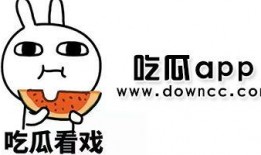 国产黑料吃瓜51吃瓜,51吃瓜51吃瓜，揭秘娱乐圈幕后真相