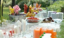 吃瓜婚庆策划方案,一场别开生面的吃瓜婚庆盛宴