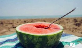 吃瓜勺双头,揭秘神秘双头瓜的奇妙世界