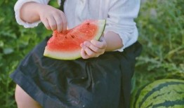 大鸟去瓜地里吃瓜怎么办,一场意外的瓜果盛宴