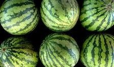 菏泽曹县吃瓜视频,揭秘菏泽特色美食背后的故事