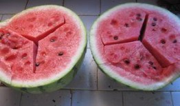 空瓜可以吃吗,探索瓜果的另类食用方法