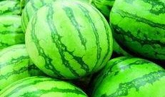 小瓜晒干怎么吃,解锁夏日美味新境界