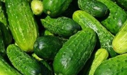 关于吃瓜网站,吃瓜网站背后的娱乐现象解析