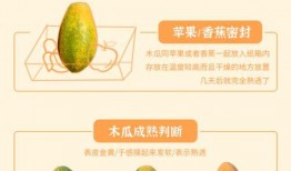 吃瓜牛奶窝,揭秘网红美食背后的故事