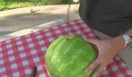 昆明正义方吃瓜,一场吃瓜群众的狂欢盛宴