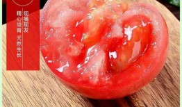 水果沙瓤瓜怎么吃减肥,轻松享受水果美味，健康瘦身两不误