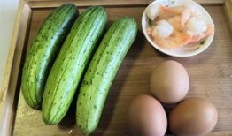 吃瓜网免费吃瓜独家揭秘热门大瓜,吃瓜网免费吃瓜，热门大瓜一网打尽！