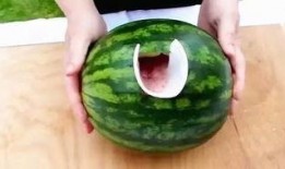 吃瓜机是什么,网络时代的新奇产物