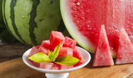 吃瓜ljq,一场关于娱乐与生活的深度对话