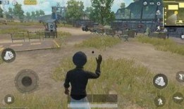 吃鸡吃瓜动作,揭秘网络热词背后的趣味生活