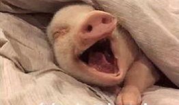 笑翻吃瓜群众,笑翻众人！吃瓜群众热议的爆笑瞬间