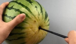 用筷子吃的瓜,探寻中国饮食文化的独特魅力