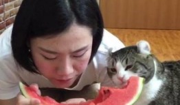 宠溺和吃瓜,揭秘娱乐圈的甜蜜与辛辣