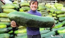 夏天的姿态吃瓜群众,吃瓜群众的热闹盛宴