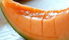 新疆吃棉瓜,甜蜜棉瓜的诱惑之旅