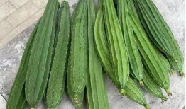 吃瓜先去皮,揭秘娱乐圈背后的真相