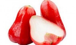 莲雾最新吃瓜网站,揭秘莲雾界的最新热点与趣闻