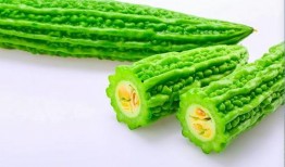 小孩可以吃咸瓜不,咸瓜，健康美味两不误