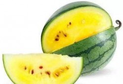 菏泽曹县吃瓜视频,揭秘菏泽特色美食背后的故事